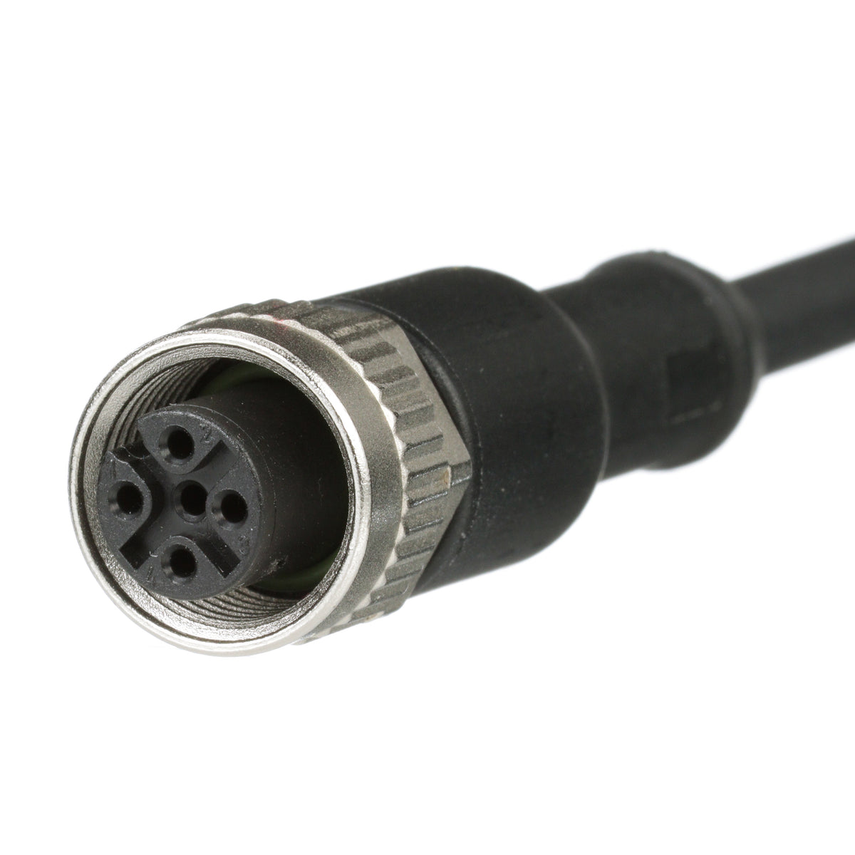 Panduit ICA4T35P2BL2M | Industrial Sensor Cordset | UPC - 61305675434