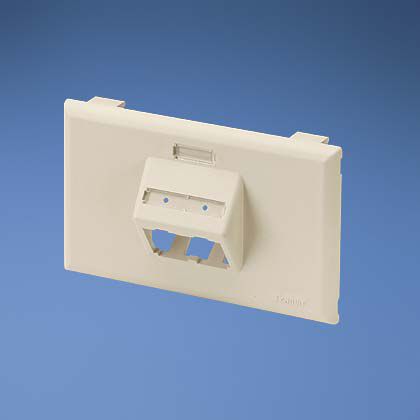 Panduit OF70FH2OG | Low Voltage Faceplate