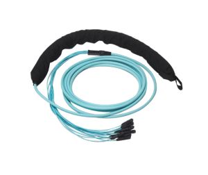 Corning G757524QPNDDU100F | EDGE MTP Trunk