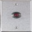Alarm Controls RP27 Satin Stainless Steel Plate with two N/O PushButtons