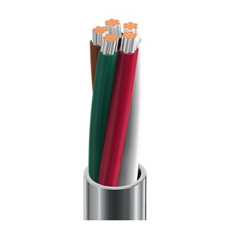 Belden 8445 0605000 | Electronic Cable, 5 Conductor #22 Stranded TC, PVC Insulation, PVC Jacket, CMG