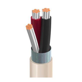 Belden 9154 2901000 | Electronic Cable, 2 Conductor #20 Stranded TC, PVC Insulation, OS, PVC Jacket, CMG