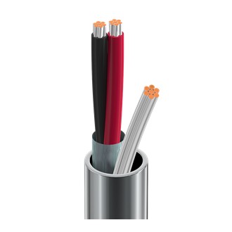 Belden 9462 0601000 | Electronic Cable, 2 Conductor #22 Stranded TC, PVC Insulation, OS, PVC Jacket, CMG