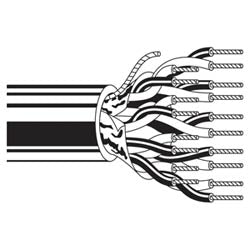 Belden 9503 0601000 | Multi-Conductor Computer Cable