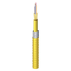 Belden B9W231 | Industrial Armored Cable, Riser D-Aia OS2 12-Fiber Ofcr Tight-Buffer Yellow