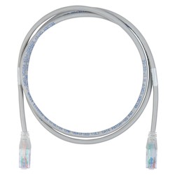 Belden C601102011F6 | Cat6+ Patch Cord, Bonded-Pair, 4-Pair, 24 AWG Solid, CMR, T568A/B, Mod, Red, 11Ft