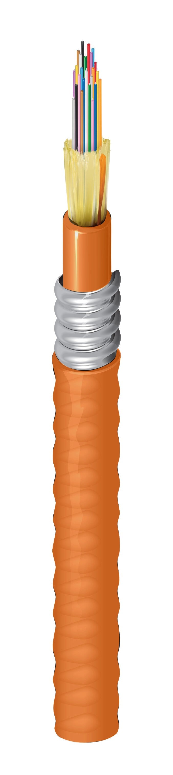 Belden FI2D024A9 | Indoor Plenum OM2 Distribution 24Fibers Aluminum Interlocked