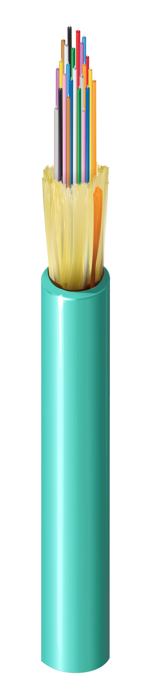 Belden FD4D024P9A | Indoor/Outdoor Plenum OM4 Distribution 24 Fibers