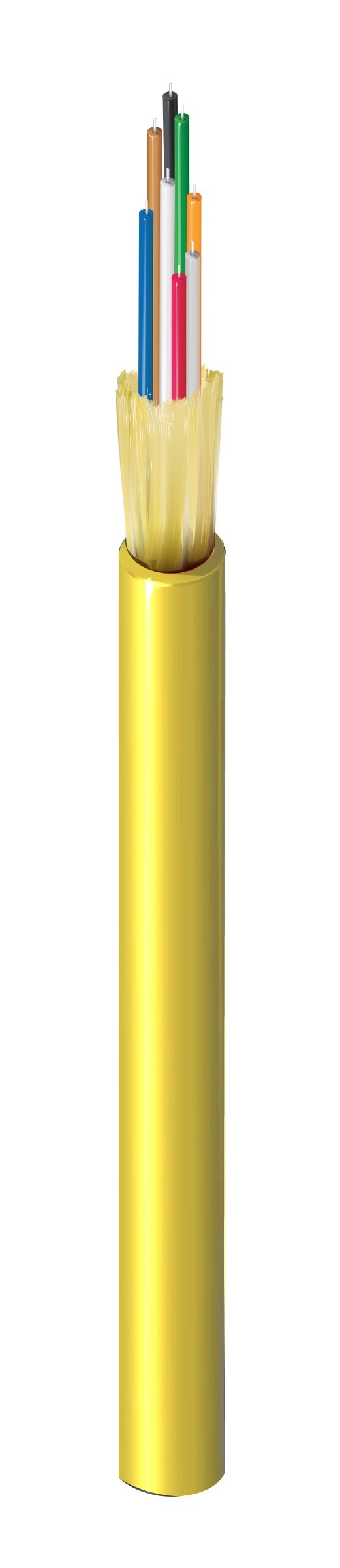 Belden FISD008P9 | Indoor Plenum OS2 Distribution 8 Fibers