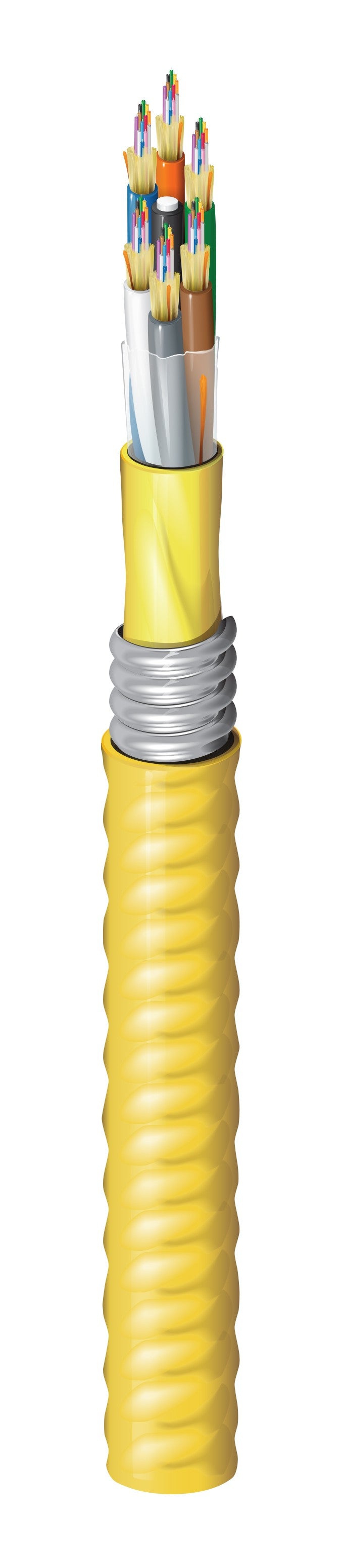 Belden FISD096FK | Indoor Riser OS2 Distribution 96 Fibers Aluminum Interlocked