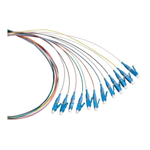 Belden FT1LC900PR12 | FX Pigtail, OM1, LC Connector, 12-Fiber, 900 µm, 2 m