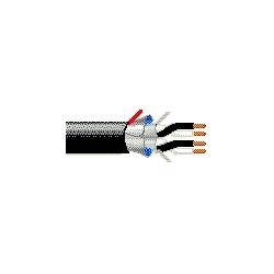 Belden 1055A 0107500 | 16 AWG 2-Pair Str BC, Tray Cable, PVC/Nylon, Foil Shield, 90°C, 600V, Black/White #s