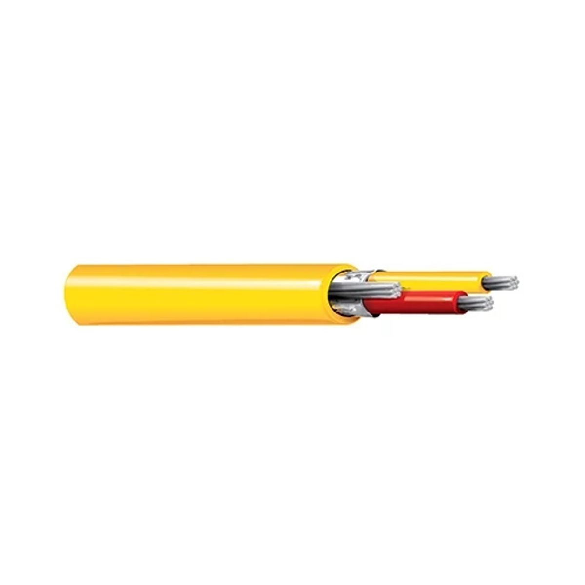 Belden 83950 0101000 | Instrumentation Cable, FEP Jacket, 2-Conductor, 20 AWG, Tinned Copper