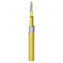 Belden ENT FISD006A9 | 6-f Fx Indoor Tb Cableos2ofcp Interlock Armoryellowjacket