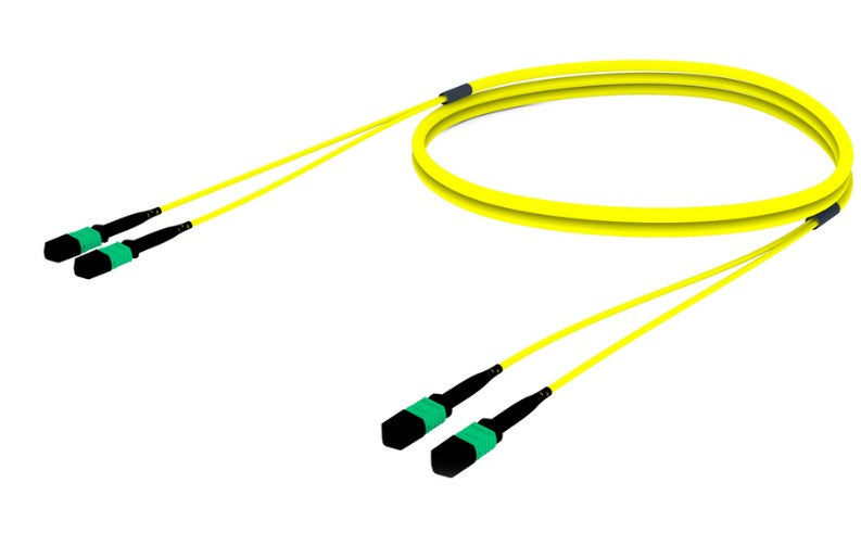 CommScope UJGMXMXCFJWM080 | Ultra Low Loss TeraSPEED MPO (Pinned) to MPO (Pinned) Pre-terminated Trunk Cable, MPO12, 24-Fiber, LSZH, 12 Fiber