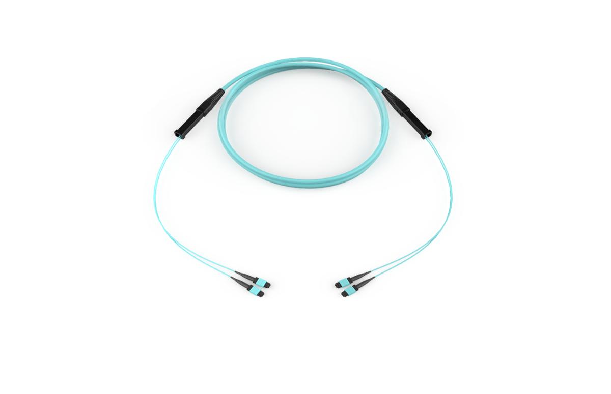 Corning G757524QPNDDU070F | EDGE MTP Trunk Universal, OM4 24F, Distribution Non-armored Indoor Plenum cable, MTP 12F Non-pinned 33 in legs to MTP 12F Non-pinned 33 in legs, Grip: One End, 70 Feet