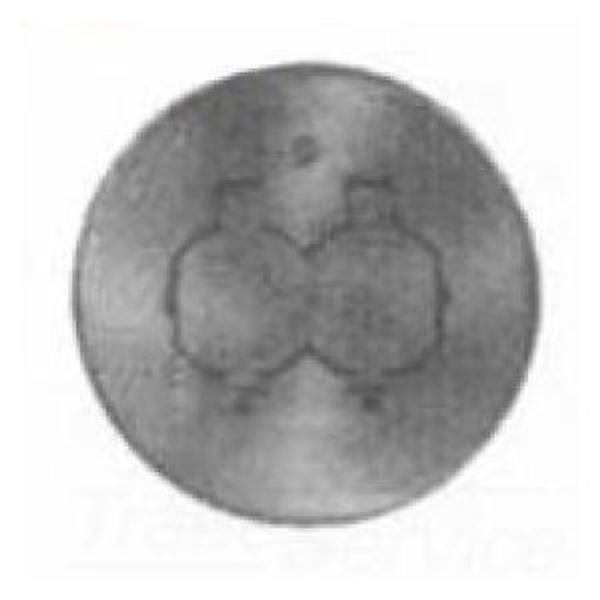 Legrand 895T | Brass tile duplex receptacle plate