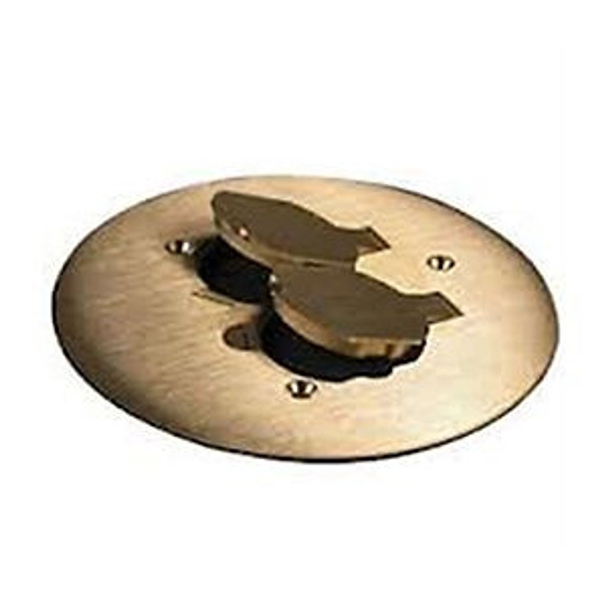 Legrand 895 | Brass cpt duplex receptacle plate