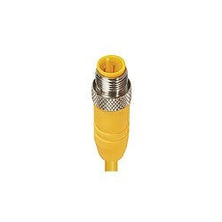 Lumberg Automation 600000597 | Cord Set, 22 AWG, M12 Micro Male Straight Connector, 2m L