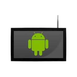 Mimo Monitors MOT-32080H | Outdoor Android Tablet, 32?