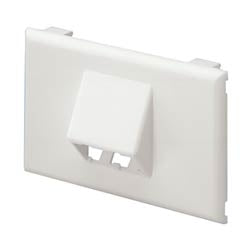 Panduit T70FH2IW | Snap-on Horizontal Sloped Communication Faceplate, 2 Position, Off White