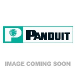 Panduit FYZAP77X005F115 | OM4 144-Fiber Indoor SD Trunk Cable, Polarity A, Optimized IL, Pulling Eye End A, 115 ft