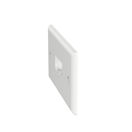 Panduit CFPH2WH | Faceplate, 2 Port, Single Gang, Horizontal, White