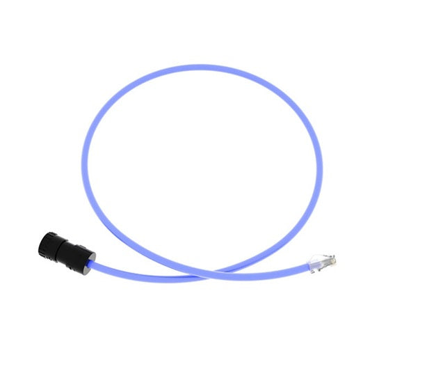 Panduit FC-ICCP1MBU | 6A UTP Connector, Plenum RJ45 Cord, 1 M, Blue