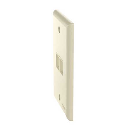 Panduit NK2FNEI | NK 2-Port, Single Gang, Flush Mount Faceplate, Electric Ivory