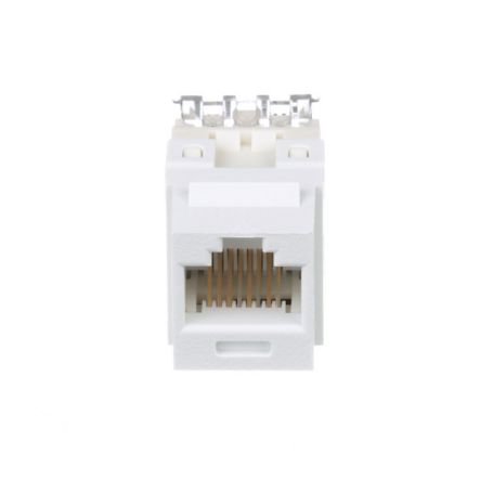 Panduit NK688MWH-Q | UTP RJ45 Cat 6 Punchdown Keystone Jack Module, WH