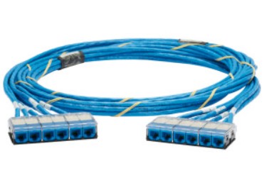 Panduit QZPBCCB0001F080 | Copper QuickNet Trunk Assembly, Category 6A, UTP, VariMatrix, 80 ft