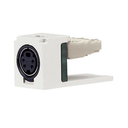 Panduit CJSVBL | Pan-Net S-Video Module