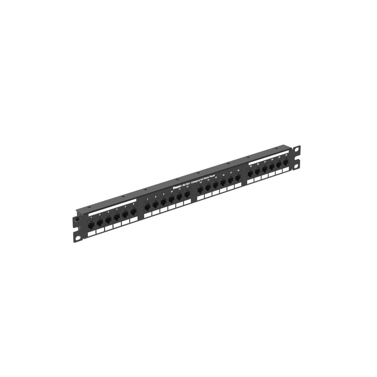 Panduit NK6XPPG24Y | Cat 6A Punchdown Keystone Patch Panel, 1 RU