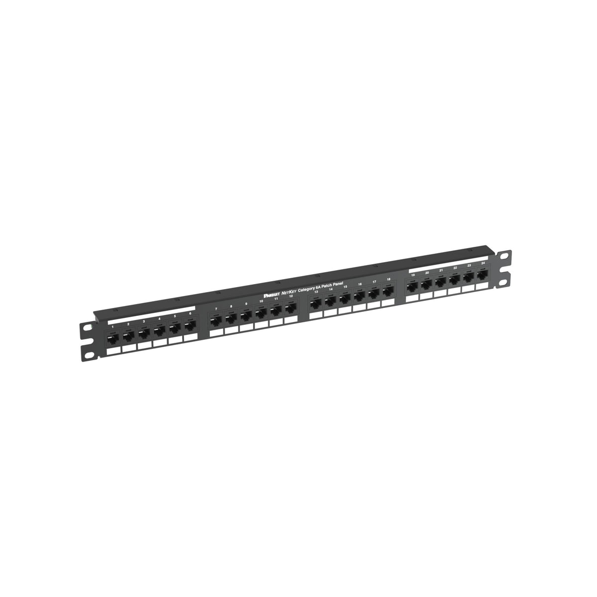 Panduit NK6XPPG24Y | Cat 6A Punchdown Keystone Patch Panel, 1 RU
