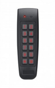Rosslare Security Products AYC-G54 - CONTROLLER - CONVERT 2X6 MULLION SZ BACKLET