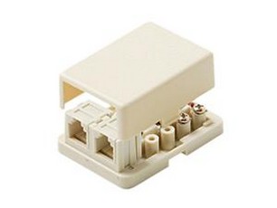 Steren 300-146 4C Ivory Surface Dual Jack