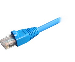 Steren 308-600BL | 100' Molded Cat5e UTP Patch Cord