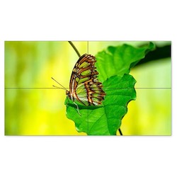 Sharp Electronics Corporation UN552-TMX4P | Display Video Wall, LED Direct-Lit Backlight, 150 Watt, 55" S-IPS Panel, 1920 x 1080 Resolution, 700 Candela per Sq Meter