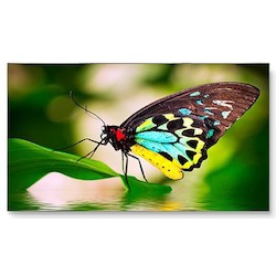Sharp Electronics Corporation UN552 | Video Wall Display, LED Direct-Lit, 150 Watt, 55" S-IPS Panel, 1920 x 1080 Resolution, 700 Candela per Sq Meter, 0.5 MM Pixel Pitch