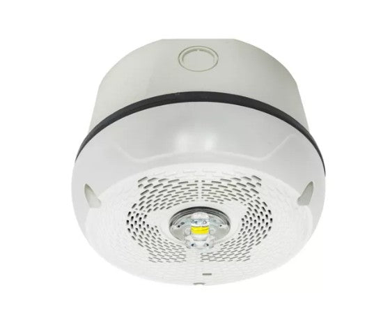 System Sensor SPSCWKLED-P Outdoor Speaker Strobe LED White Ceiling Plain