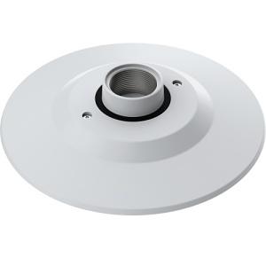 Turing Video TP-X4DPC | SMART Multi-Sensor Pendant Mount Cap / Housing