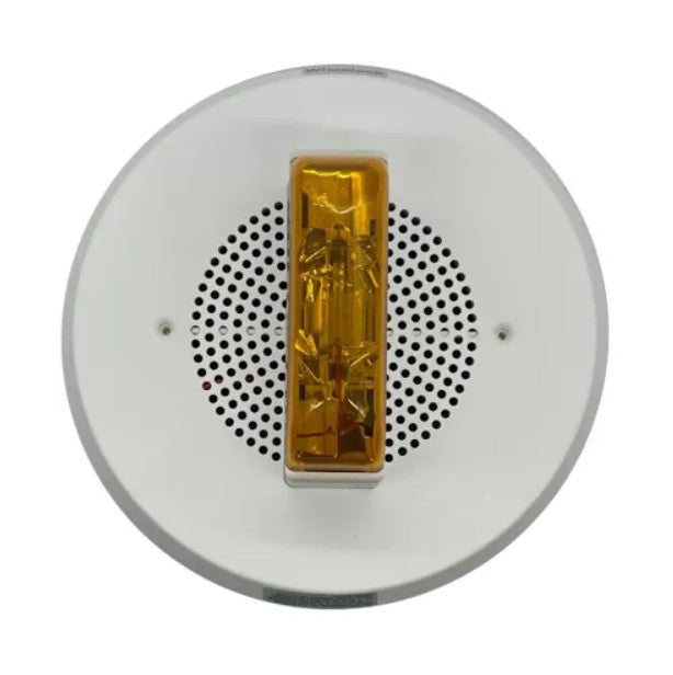 Wheelock E90A-24MCC-NW | Amber Lens 24 Volt Ceiling Mount NO Writing Spk St
