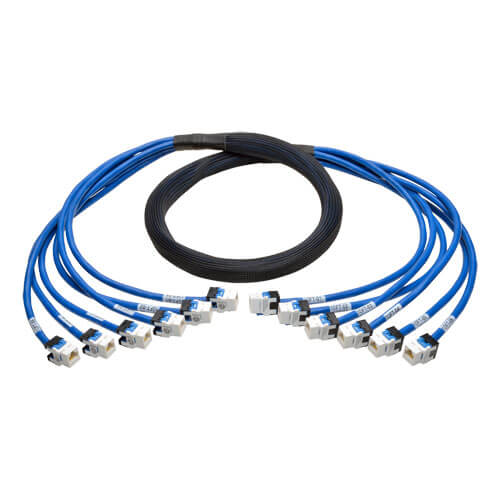 Tripp-Lite N261-010-6FF-BL | Cat6a 10G Certified Pre-Terminated Copper Trunk Assembly (6x RJ45 F/F), Blue, 10 ft. (3.05 m)
