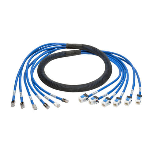 Tripp-Lite N261-010-6MF-BL | Cat6a 10G Certified Pre-Terminated Copper Trunk Assembly (6x RJ45 M/F), Blue, 10 ft. (3.05 m)