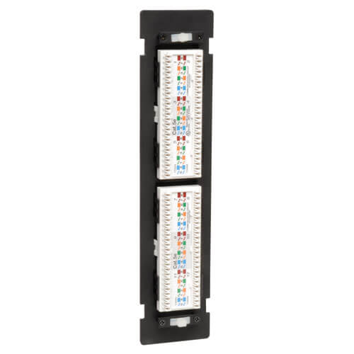 Tripp-Lite N050-012 | 12-Port Wall-Mount Cat5e Patch Panel, 568B, RJ45 Ethernet, TAA