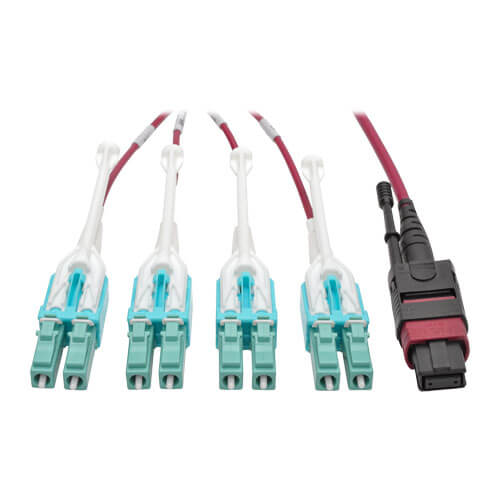 Tripp-Lite N845-01M-8L-MG | 40G MTP/MPO to 8xLC Fan-Out OM4 Plenum-Rated Fiber Optic Cable, 40GBASE-SR4, Push/Pull Tabs, Magenta, 1 m