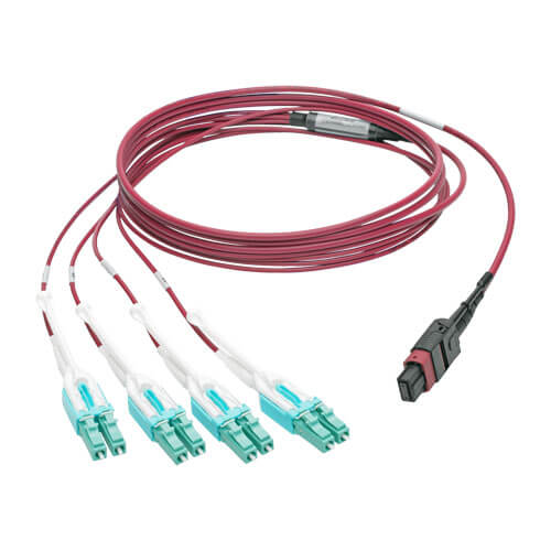 Tripp-Lite N845-01M-8L-MG | 40G MTP/MPO to 8xLC Fan-Out OM4 Plenum-Rated Fiber Optic Cable, 40GBASE-SR4, Push/Pull Tabs, Magenta, 1 m
