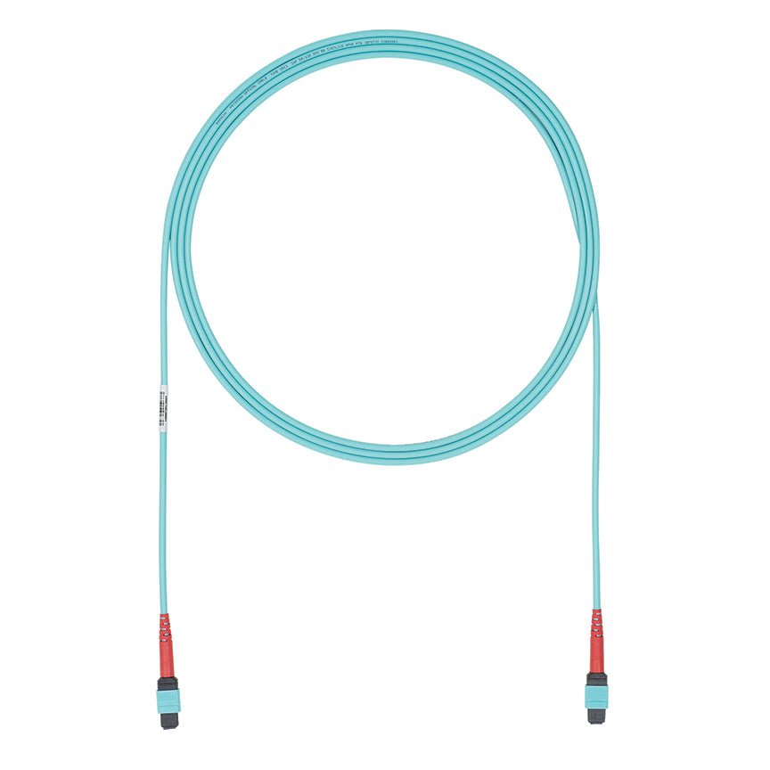 Panduit FZURPENENXNF010 | Interconnect Cable Assembly | UPC - 61305618136