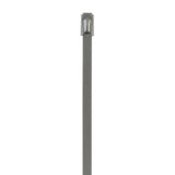 Panduit MLT2S-CP | Pan-Steel Cable Tie, SS 304, Standard, 2" Dia., PK100