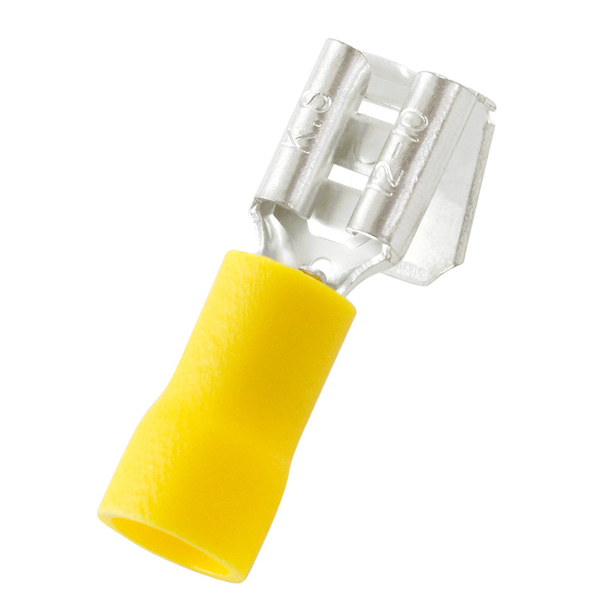 Panduit EDV10-250P-Q | NA | UPC - 61305634177